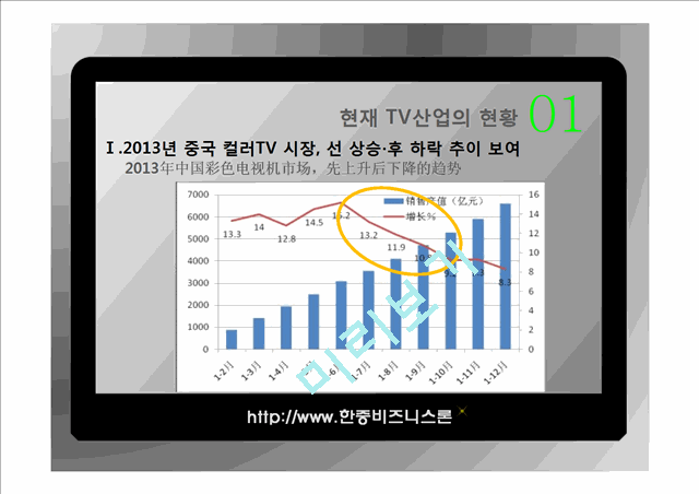중국의 TV 산업분석   (4 )